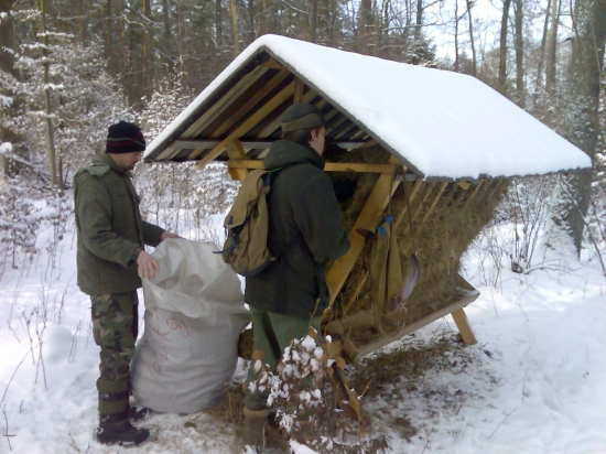 Povianočné doplnenie 2