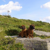 matka so synom na vyhliadke v reviri