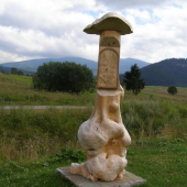 Polorozbe Sv.Huberta na samoroste