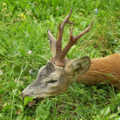 Môj 6 rokov