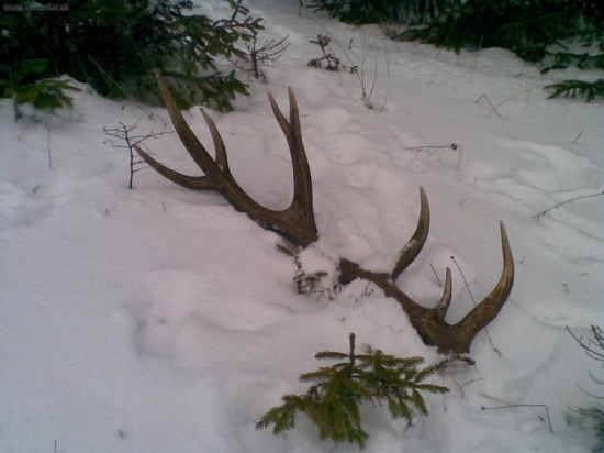 Prvý tohto roku - 16-torák