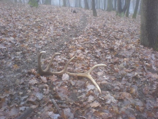 konečne prvy v roku 2010...