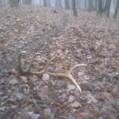 konečne prvy v roku 2010...