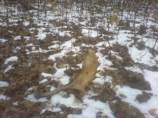 dnešne hladanie k paru id:52578