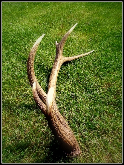 Zatiaľ môj najlepší ..