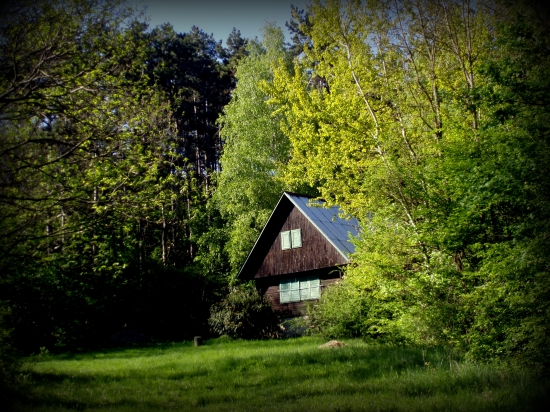 V peknom prostredí ...