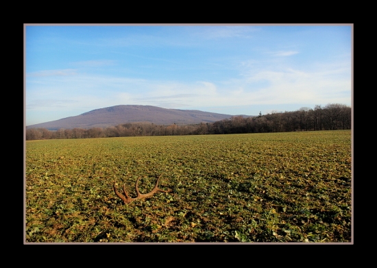 Prvá úspešná vychádzka
