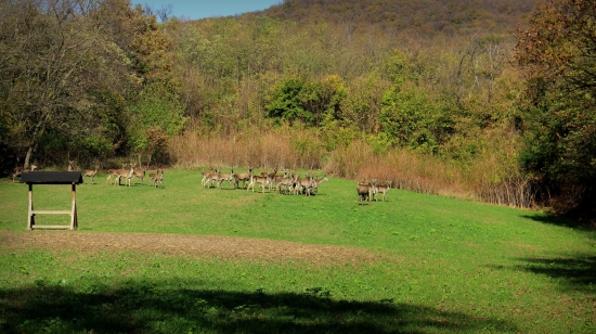 Obedné príjemné prekvapenie