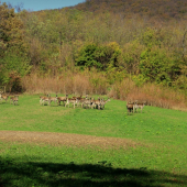 Obedné príjemné prekvapenie