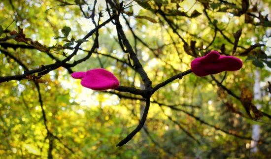 Ked aj stromom je zima ...