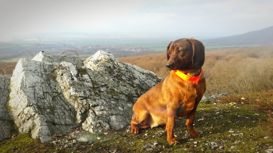 Sledujeme revír z hora