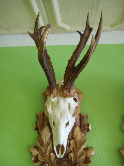 10torak