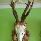 10torak