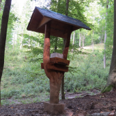 Solisko