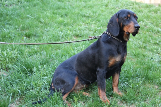 môj poklad AXA z Evkinho dvora