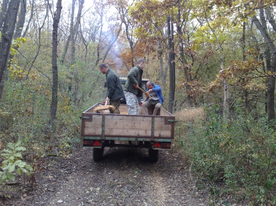 keď sme vyvážali kukuricu pre zver