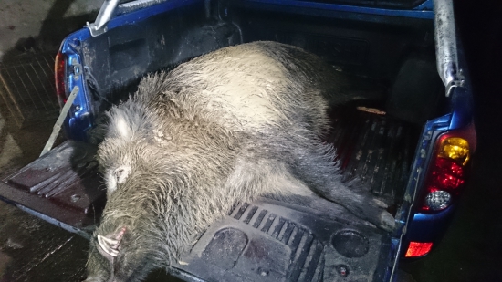 keď je topánka menšia ako noha