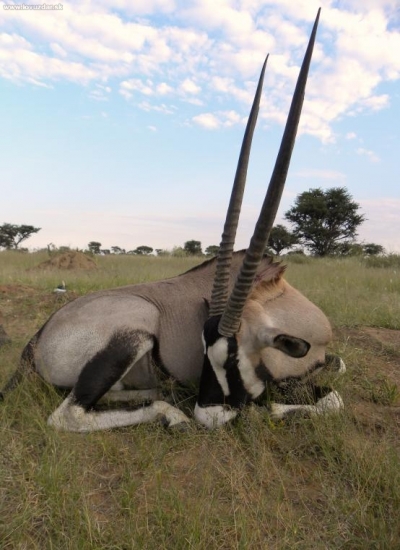NAMIBIA 2010