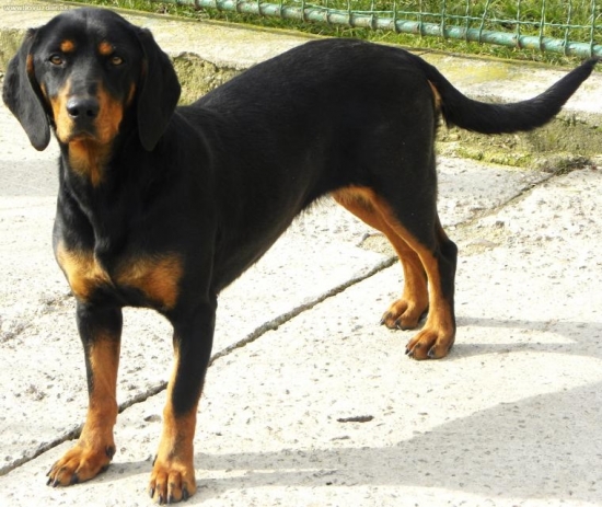 Teraz som mala 20mesiacov a moje meno je AXA