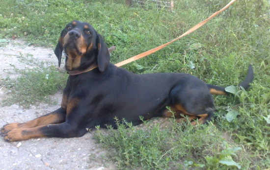 AXA z Evkinho dvora-víťaz SD v PR Kováčovce