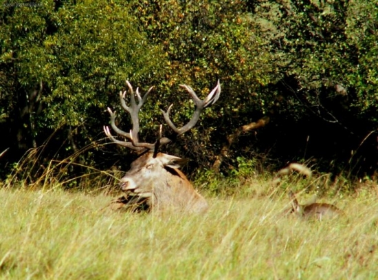 jednooký ale krásny 2