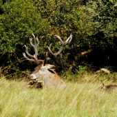 jednooký ale krásny 2