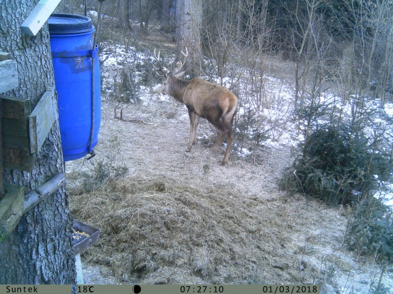 Héééj kto tu stratil paroh?