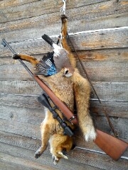 žmurklo na mňa šťastie dnes ráno