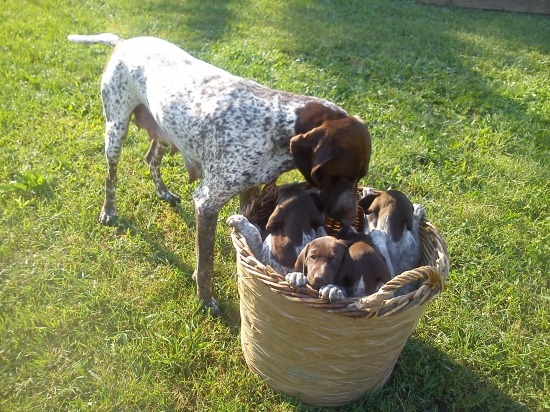 už si len dobre vybrať