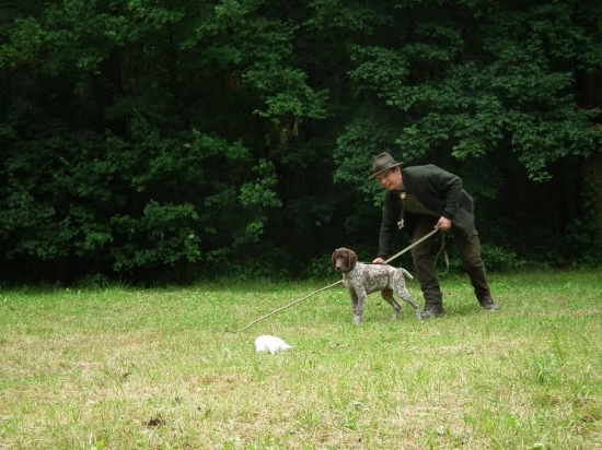 nácvik vystavovania s holubom