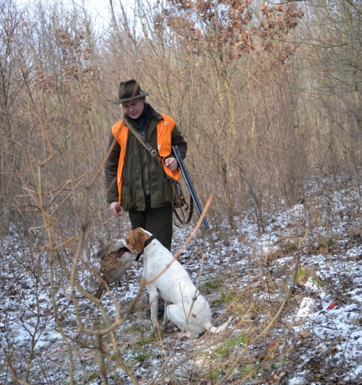 Misty bird hunter scandiaca