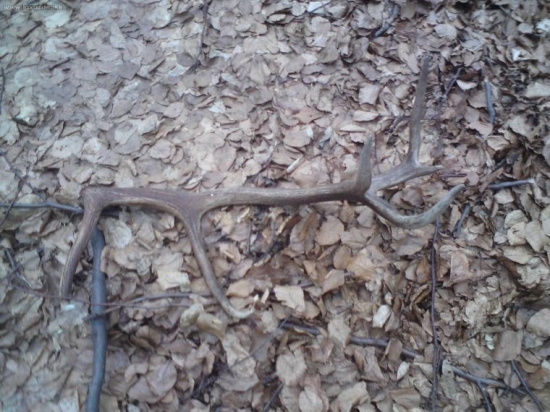 2.8 kg dufam ze najdem aj druhy