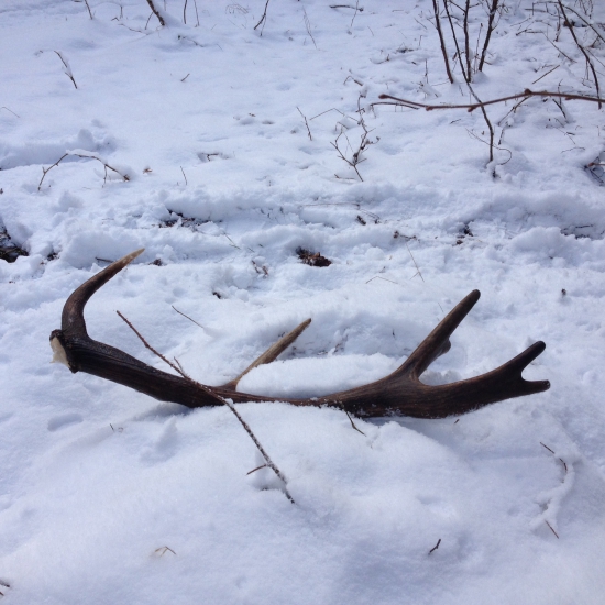 Keď sa šťastie unavý