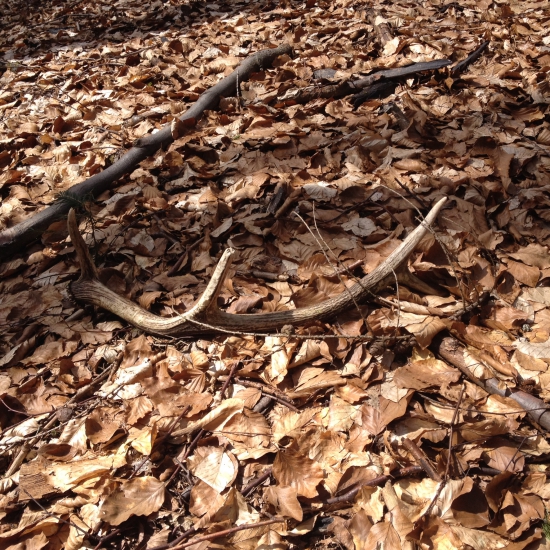 Aj takýto sa počíta