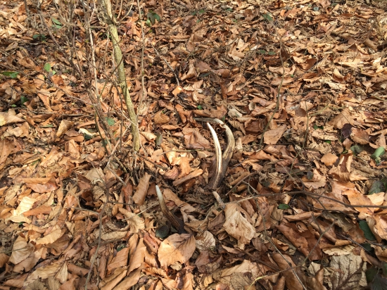 Po pár minútach chôdze