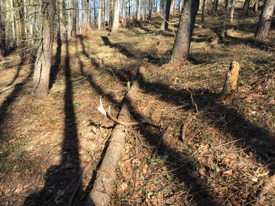 za par minút chôdze