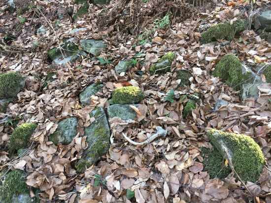 Skoro som naň stúpil