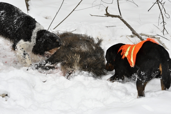 ... a našli sme ho...