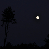 ...nočná vychádzka...