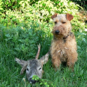 Zase po dlouhé době