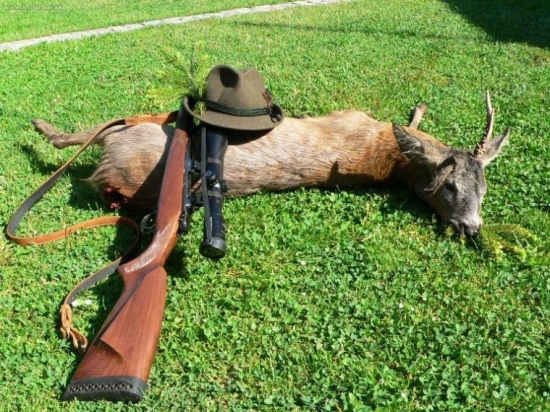 Téměř nedohledaný