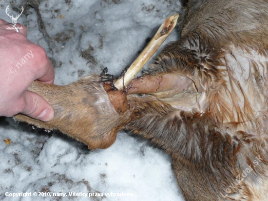 je k nevíře co vydrželo....