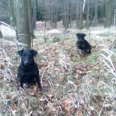 Argo a Ata z Trnčí