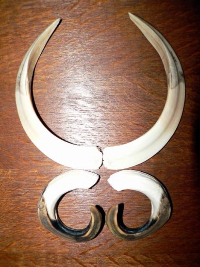 Slíbené zbraně mého kňoura z 19. 3. 2011