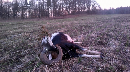 Splněný lovecký sen - foto z místa ulovení