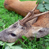 Pátek 13.  8 . 2010 ráno