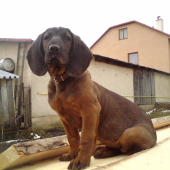 Endy