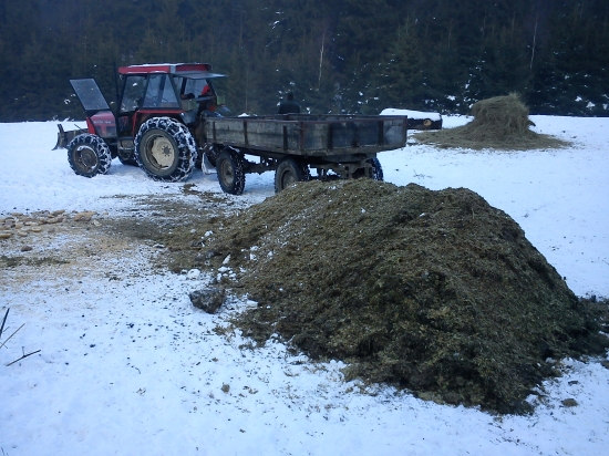 zakrmovanie s Jankom