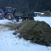 zakrmovanie s Jankom