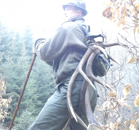 ked zakrmis ,priroda sa ti odvdaci